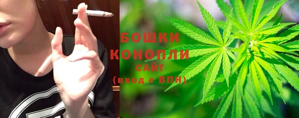 PSILOCYBIN Алзамай