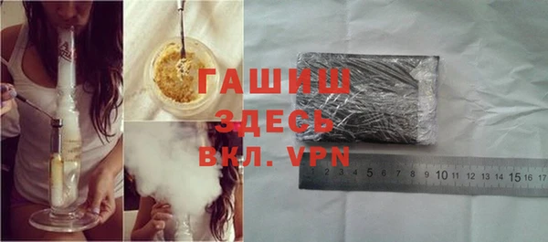 PSILOCYBIN Алзамай