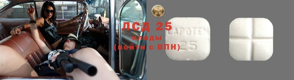 PSILOCYBIN Алзамай