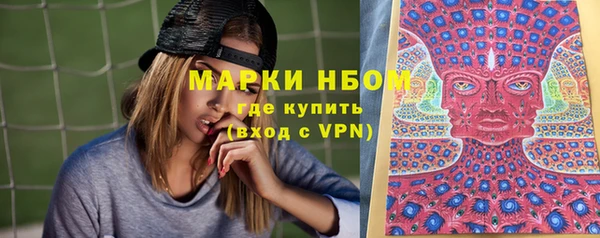 PSILOCYBIN Алзамай