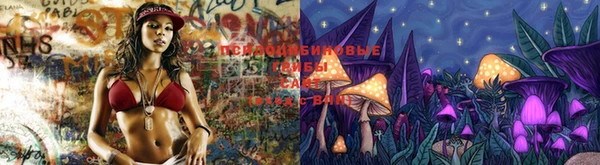 PSILOCYBIN Алзамай