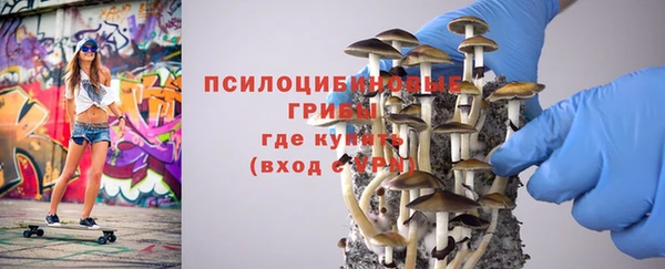 PSILOCYBIN Алзамай