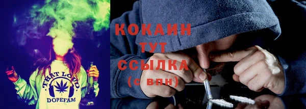 PSILOCYBIN Алзамай