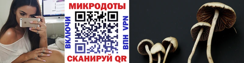 где продают наркотики Куровское Псилоцибиновые грибы MAGIC MUSHROOMS